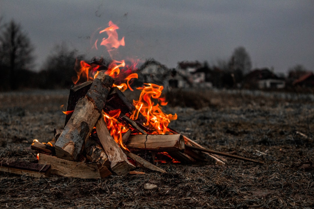 Delicious Pudgie Pie Recipes for Your Next Outdoor Adventure